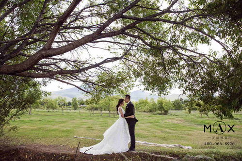 皓月當空，我愿為你指引方向——夏季侶行婚紗旅拍紀